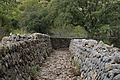 DSC04176 - Bernhard Saalfeld