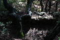DSC04190 - Bernhard Saalfeld