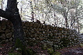 DSC04193 - Bernhard Saalfeld