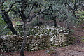DSC04195 - Bernhard Saalfeld