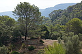 DSC04198 - Bernhard Saalfeld