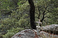 DSC04208 - Bernhard Saalfeld