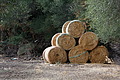 DSC04214 - Bernhard Saalfeld