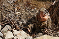 DSC04230 - Bernhard Saalfeld