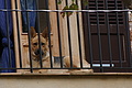 DSC04231 - Bernhard Saalfeld