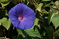 DSC04239 - Bernhard Saalfeld