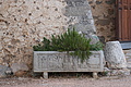 DSC04264 - Bernhard Saalfeld