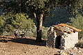 DSC04273 - Bernhard Saalfeld