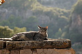 DSC04274 - Bernhard Saalfeld