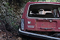DSC04286 - Bernhard Saalfeld