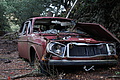 DSC04291 - Bernhard Saalfeld