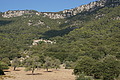 DSC04330 - Bernhard Saalfeld