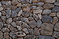 DSC04331 - Bernhard Saalfeld