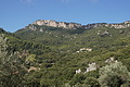 DSC04332 - Bernhard Saalfeld