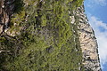 DSC04336 - Bernhard Saalfeld