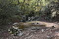 DSC04338 - Bernhard Saalfeld