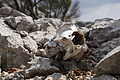 DSC04354 - Bernhard Saalfeld