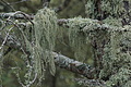 DSC04358 - Bernhard Saalfeld