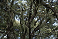 DSC04386 - Bernhard Saalfeld