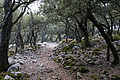 DSC04387 - Bernhard Saalfeld