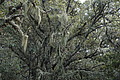 DSC04388 - Bernhard Saalfeld