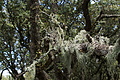 DSC04389 - Bernhard Saalfeld