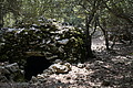 DSC04393 - Bernhard Saalfeld