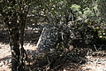 DSC04395 - Bernhard Saalfeld