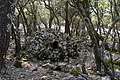 DSC04397 - Bernhard Saalfeld
