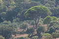 DSC04408 - Bernhard Saalfeld