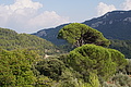 DSC04412 - Bernhard Saalfeld
