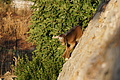 DSC04442 - Bernhard Saalfeld