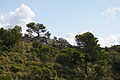 DSC04460 - Bernhard Saalfeld