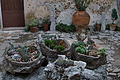 DSC04495 - Bernhard Saalfeld