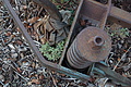 DSC04498 - Bernhard Saalfeld