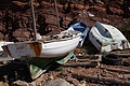 DSC05445 - Bernhard Saalfeld