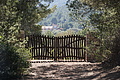 DSC05553 - Bernhard Saalfeld