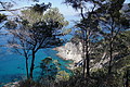 DSC05557 - Bernhard Saalfeld