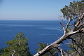 DSC05567 - Bernhard Saalfeld