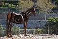 DSC05693 - Bernhard Saalfeld