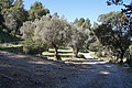 DSC05713 - Bernhard Saalfeld