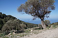 DSC05714 - Bernhard Saalfeld