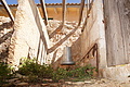 DSC05733 - Bernhard Saalfeld