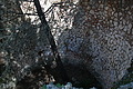 DSC05757 - Bernhard Saalfeld
