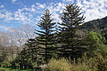 DSC05791 - Bernhard Saalfeld