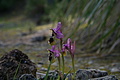 DSC05946 - Bernhard Saalfeld