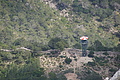 DSC05985 - Bernhard Saalfeld