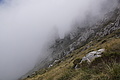 DSC05995 - Bernhard Saalfeld
