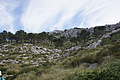 DSC06006 - Bernhard Saalfeld
