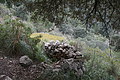 DSC06015 - Bernhard Saalfeld